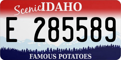 ID license plate E285589