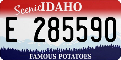 ID license plate E285590