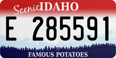 ID license plate E285591