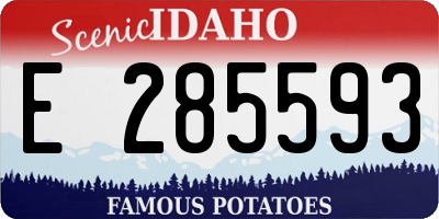 ID license plate E285593
