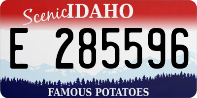 ID license plate E285596