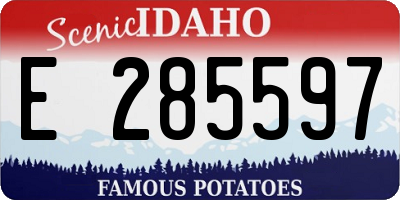 ID license plate E285597
