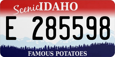 ID license plate E285598