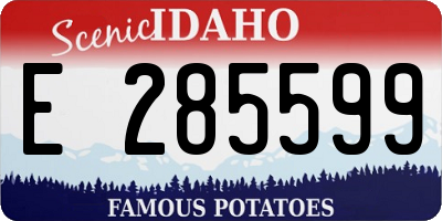 ID license plate E285599