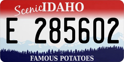 ID license plate E285602