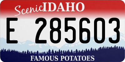 ID license plate E285603