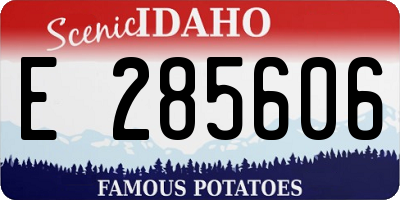 ID license plate E285606