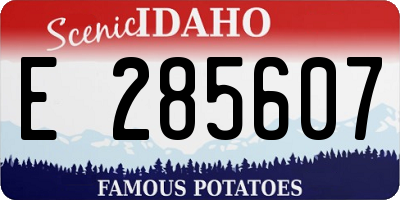 ID license plate E285607