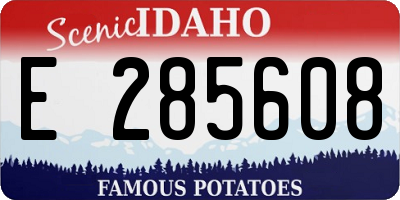 ID license plate E285608