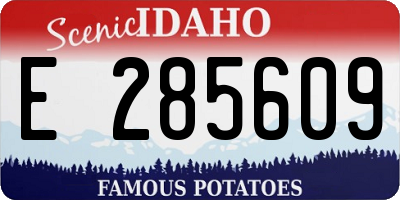 ID license plate E285609