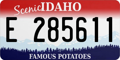 ID license plate E285611