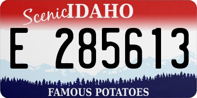 ID license plate E285613