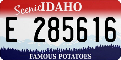 ID license plate E285616