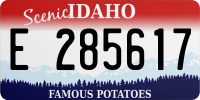 ID license plate E285617