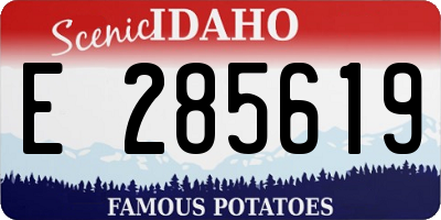 ID license plate E285619