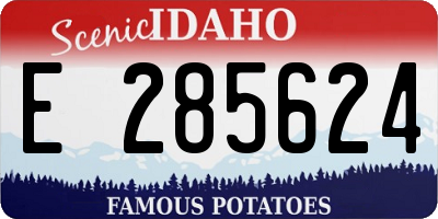 ID license plate E285624