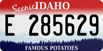 ID license plate E285629