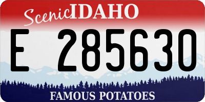 ID license plate E285630
