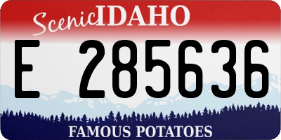 ID license plate E285636