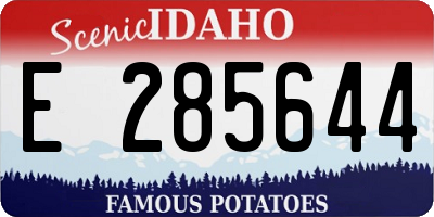 ID license plate E285644