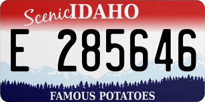 ID license plate E285646