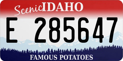 ID license plate E285647