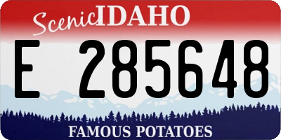ID license plate E285648