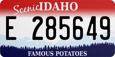 ID license plate E285649