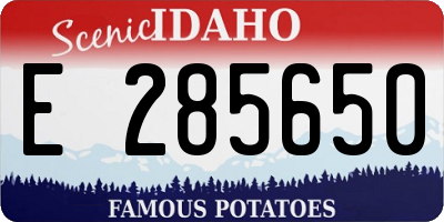 ID license plate E285650
