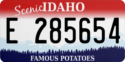 ID license plate E285654