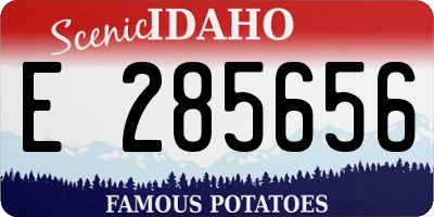 ID license plate E285656