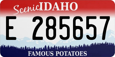 ID license plate E285657