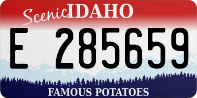 ID license plate E285659