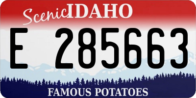 ID license plate E285663
