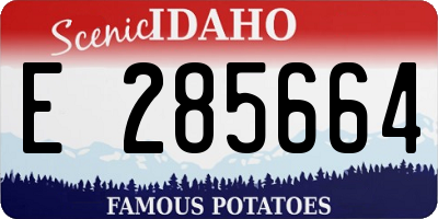 ID license plate E285664
