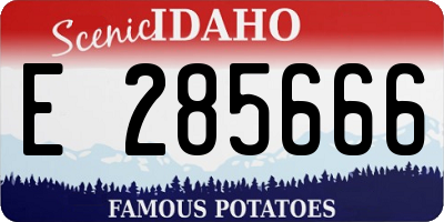 ID license plate E285666