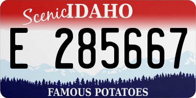 ID license plate E285667
