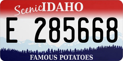 ID license plate E285668