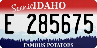 ID license plate E285675