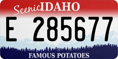 ID license plate E285677