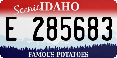 ID license plate E285683