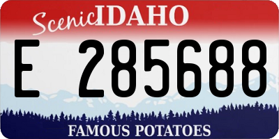 ID license plate E285688