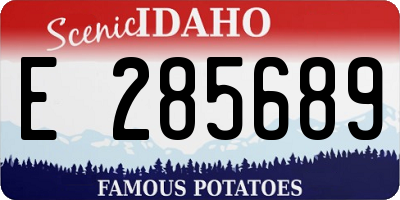 ID license plate E285689