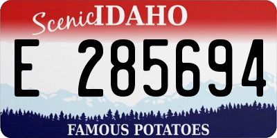 ID license plate E285694