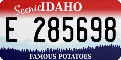 ID license plate E285698