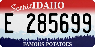 ID license plate E285699