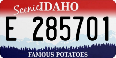 ID license plate E285701