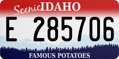 ID license plate E285706