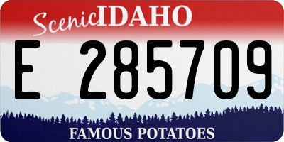 ID license plate E285709
