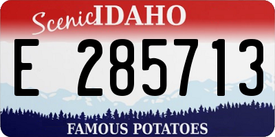 ID license plate E285713
